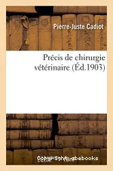 La comédie humaine. 7 Etudes philosophiques