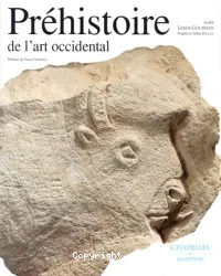 Préhistoire de l'art occidental