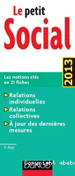 Le petit social : les notions clés en 21 fiches