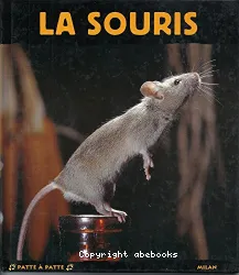 La souris