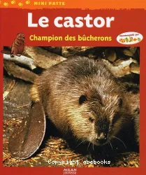 Le castor : champion des bûcherons