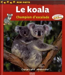 Le koala : champion d'escalade