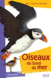 Oiseaux du bord de mer