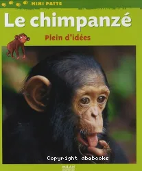 Le chimpanzé : plein d'idées