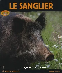 Le sanglier