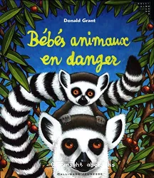 Bébés animaux en danger