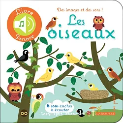 Les oiseaux : 6 sons cachés à écouter